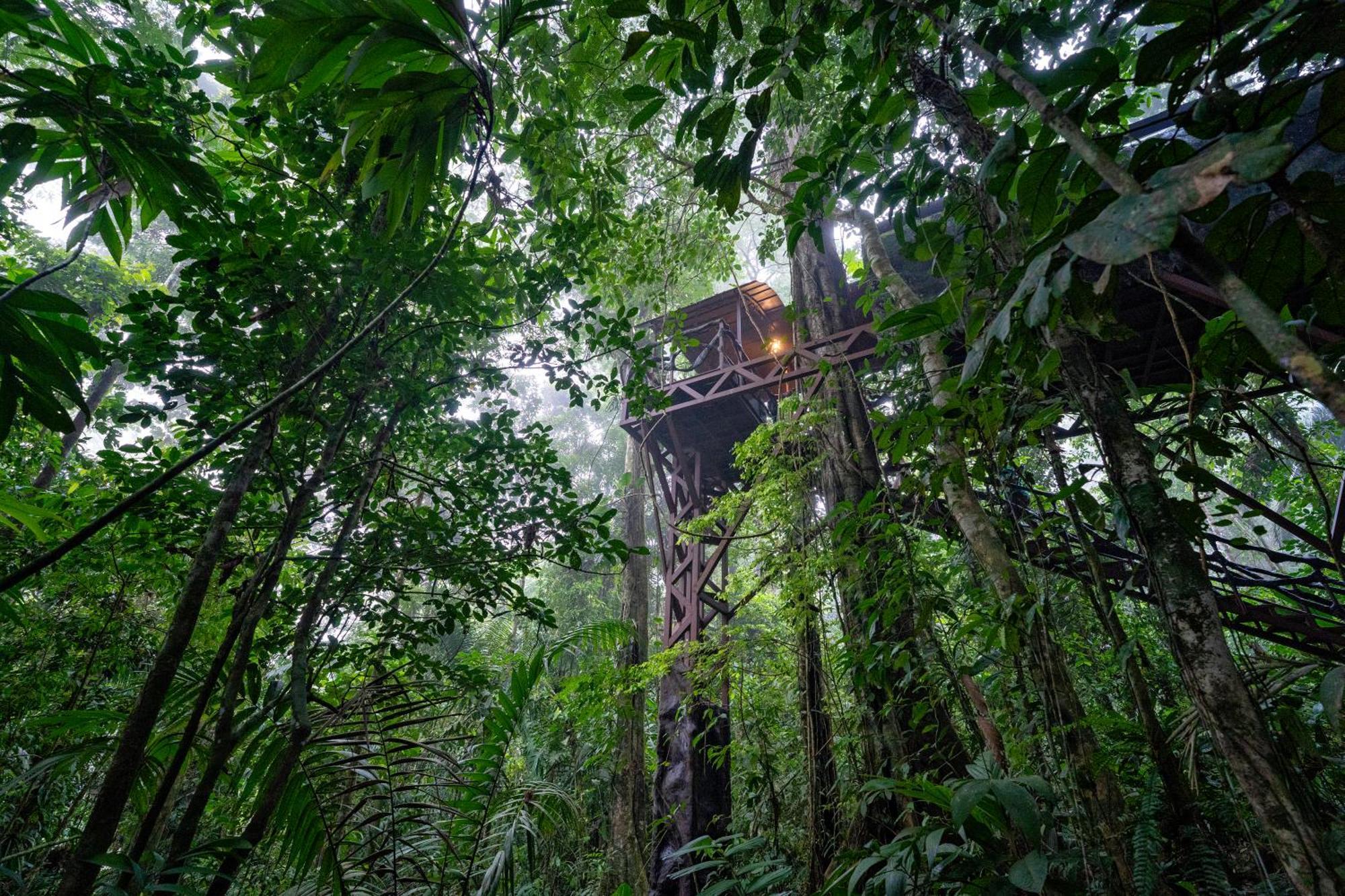 Maquenque Ecolodge Boca Tapada Eksteriør billede