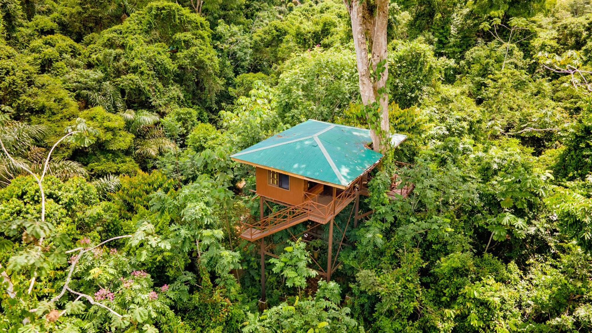 Maquenque Ecolodge Boca Tapada Eksteriør billede
