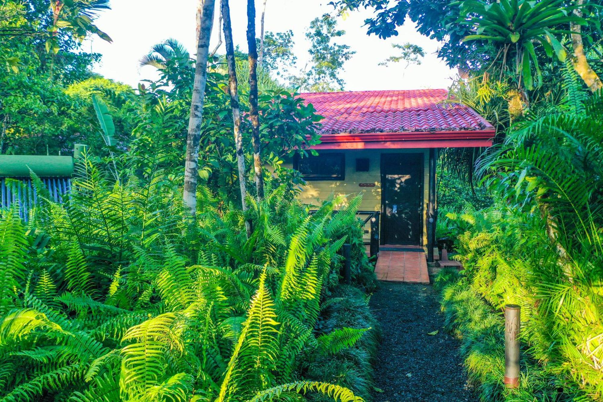 Maquenque Ecolodge Boca Tapada Værelse billede
