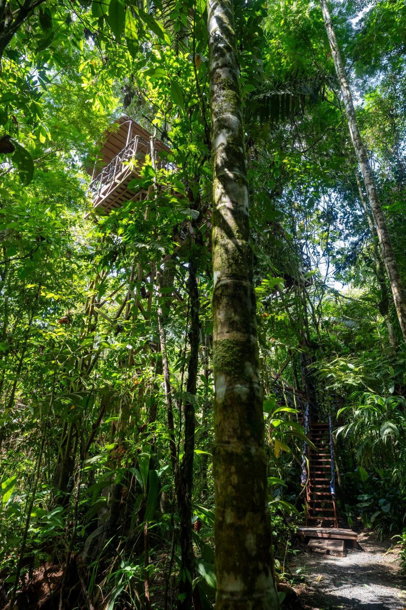 Maquenque Ecolodge Boca Tapada Eksteriør billede