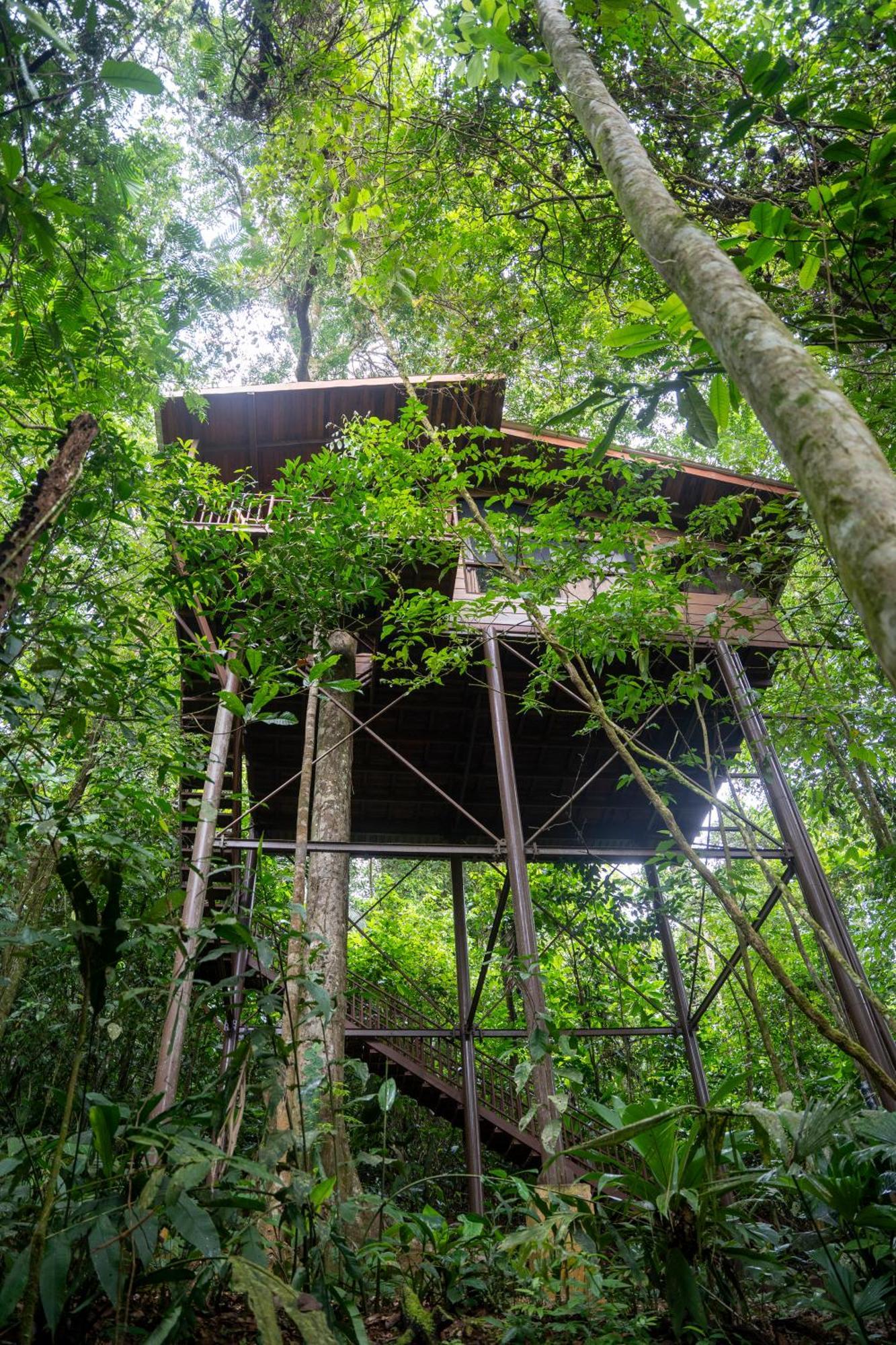 Maquenque Ecolodge Boca Tapada Eksteriør billede